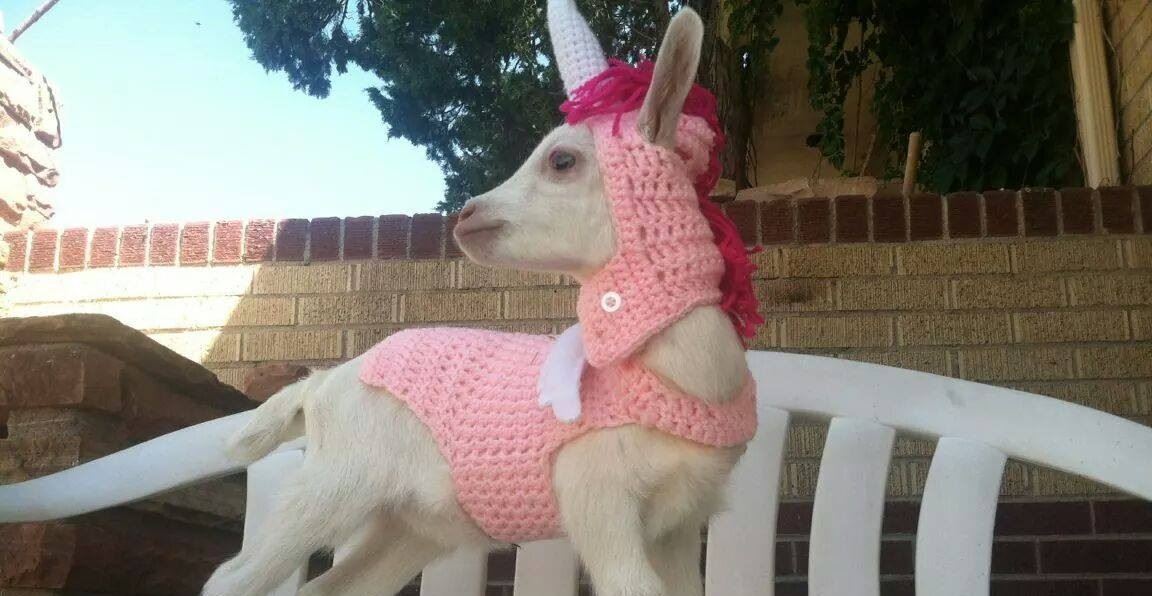 West of Weird Costume Contest at Goat Couture 2023