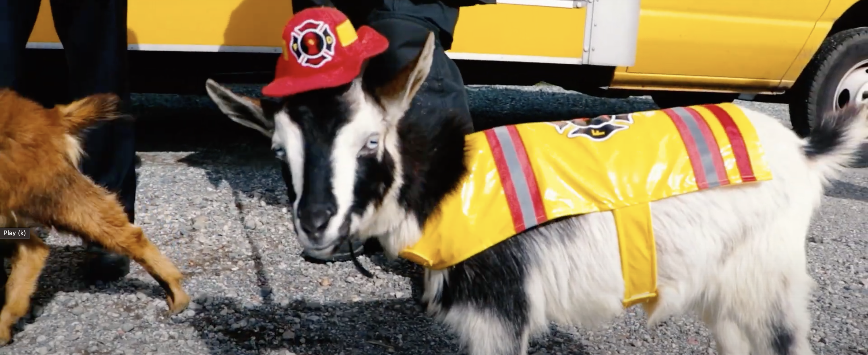 Battle of the Badge Costume Contest at Goat Couture 2023